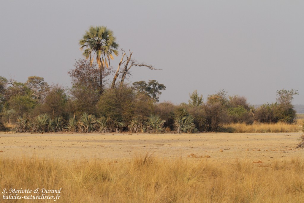 Parc national de Mahango