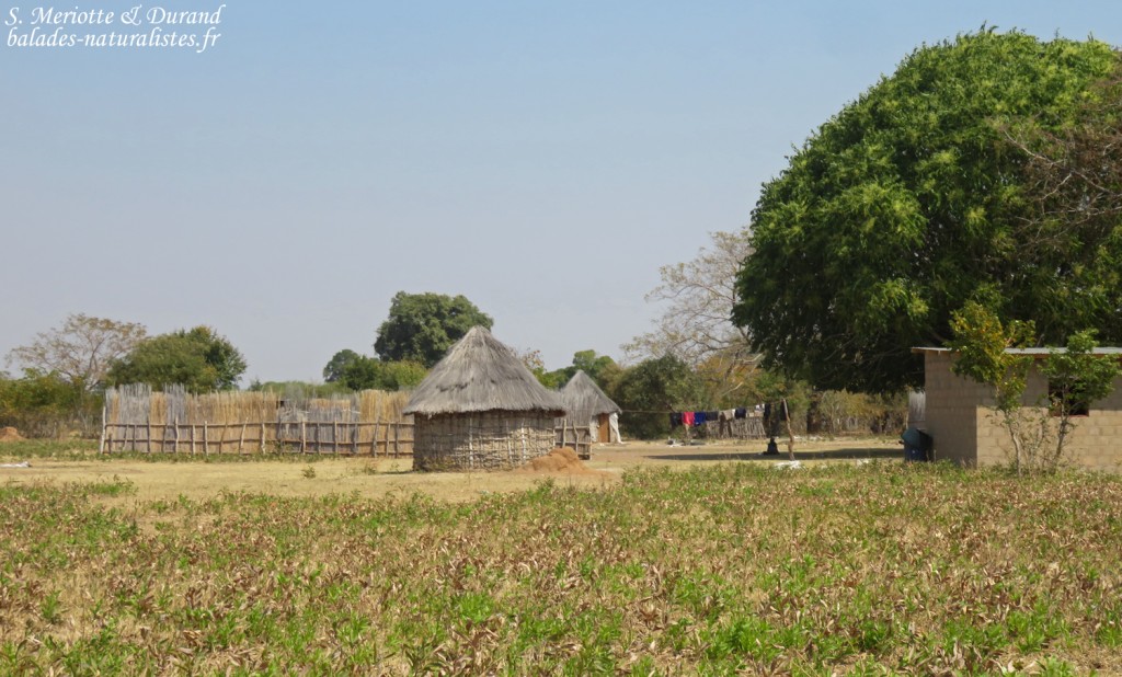 Villages du Bostwana