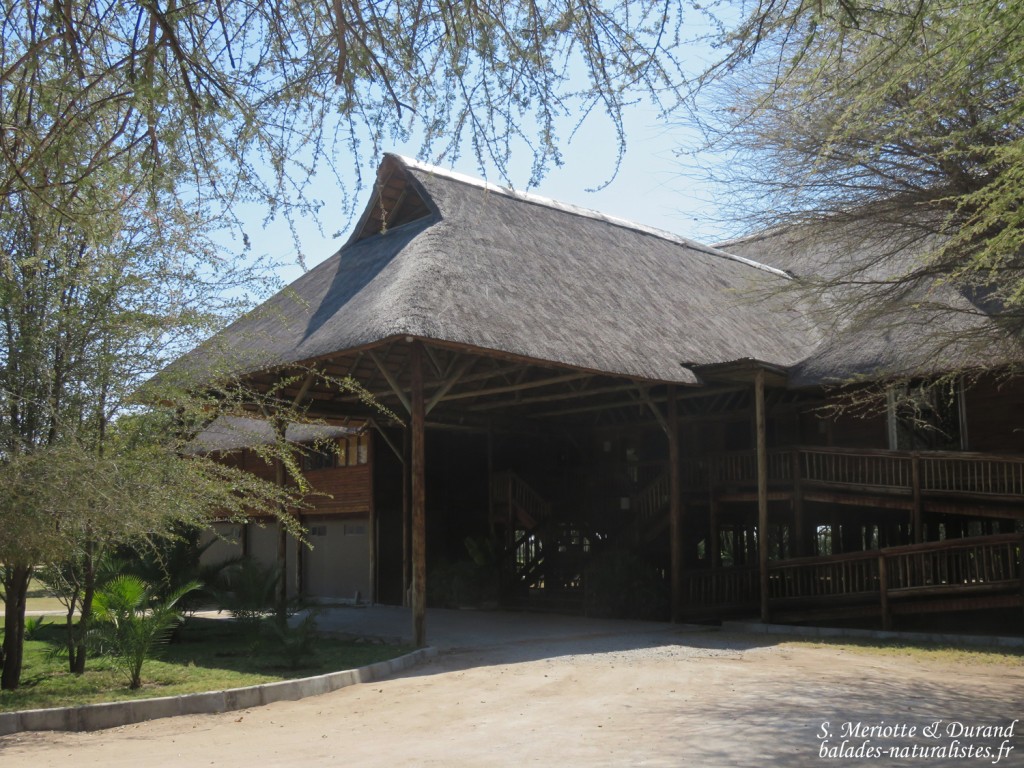 Lodge à Shakawe