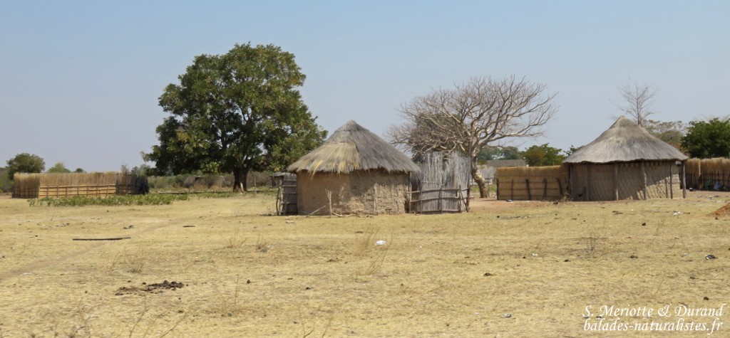 Villages du Bostwana