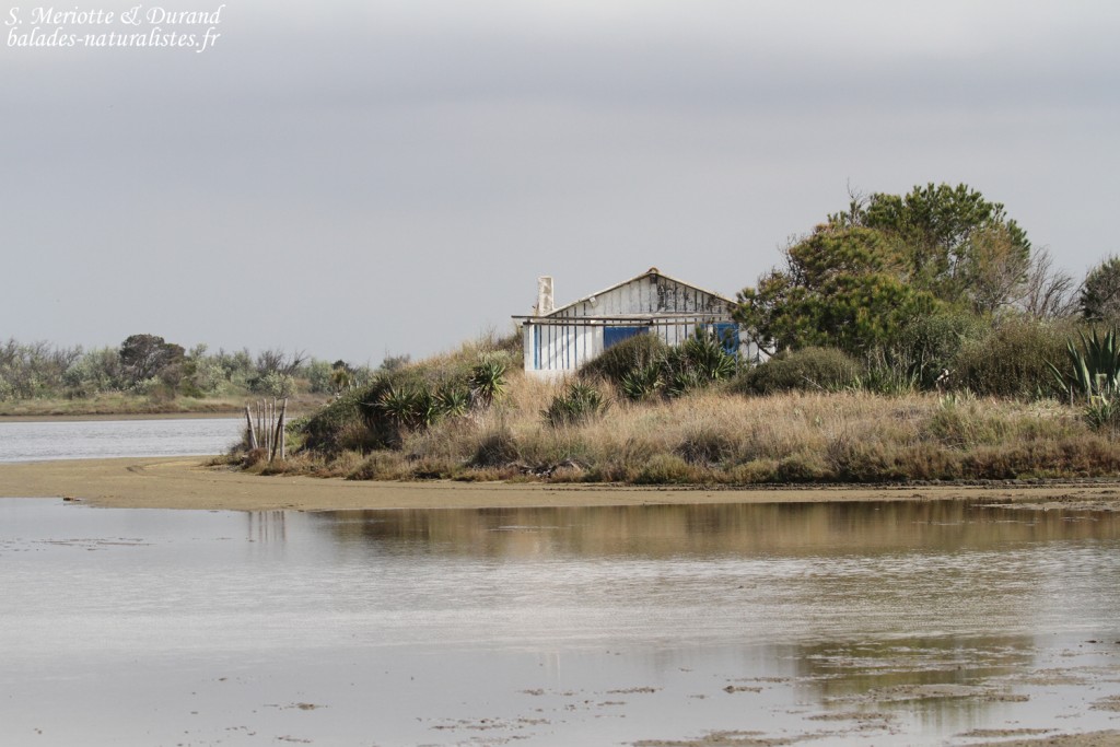 Cabanons de Camargue