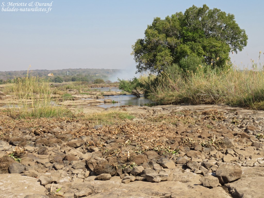 Chutes Victoria (Zambie)