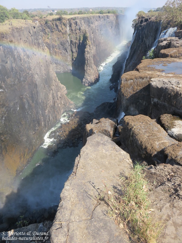 Chutes Victoria (Zambie)