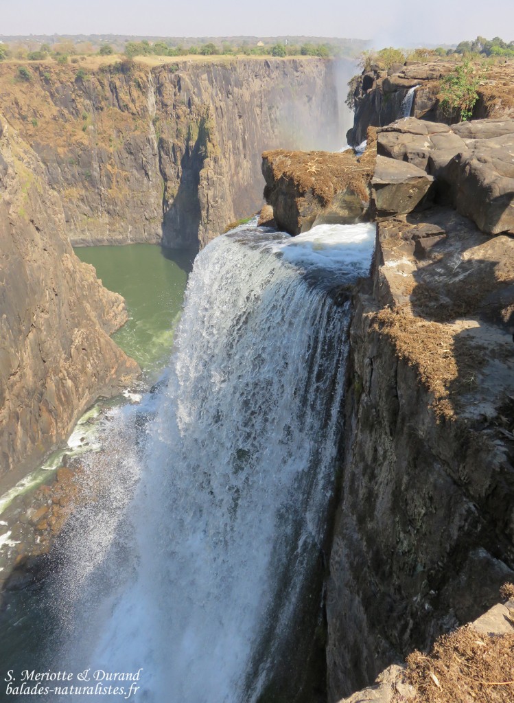Chutes Victoria (Zambie)