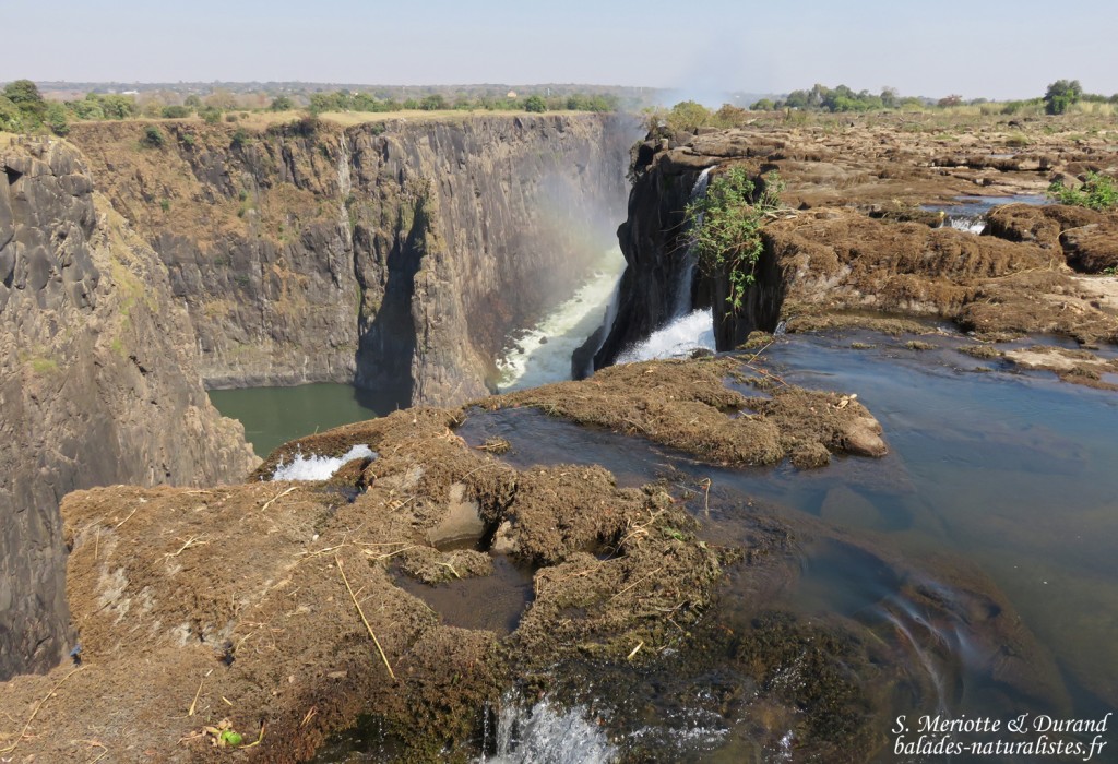 Chutes Victoria (Zambie)