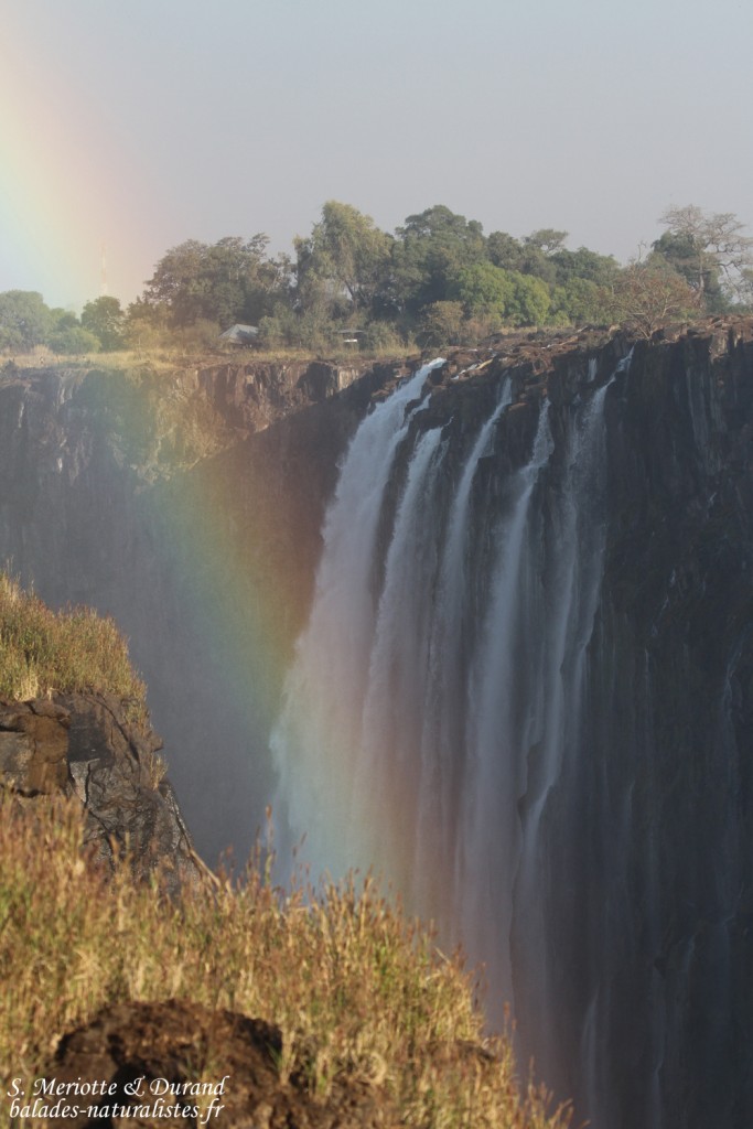 Chutes Victoria (Zambie)