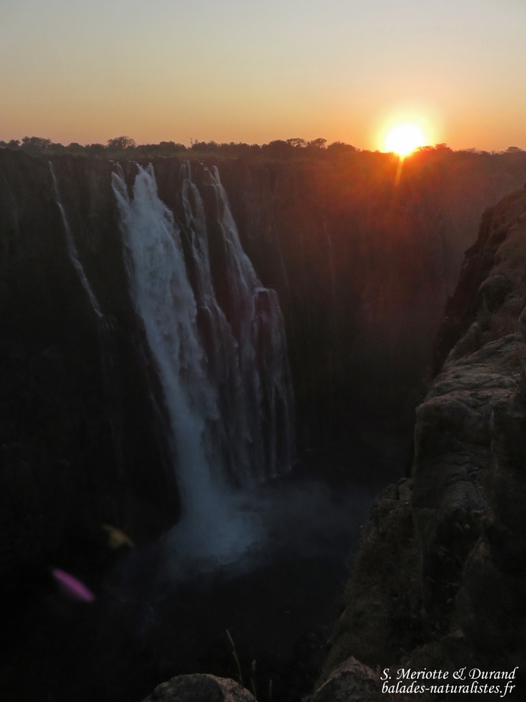 Chutes Victoria (Zambie)