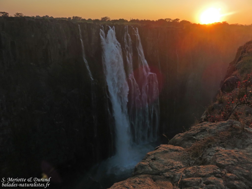 Chutes Victoria (Zambie)