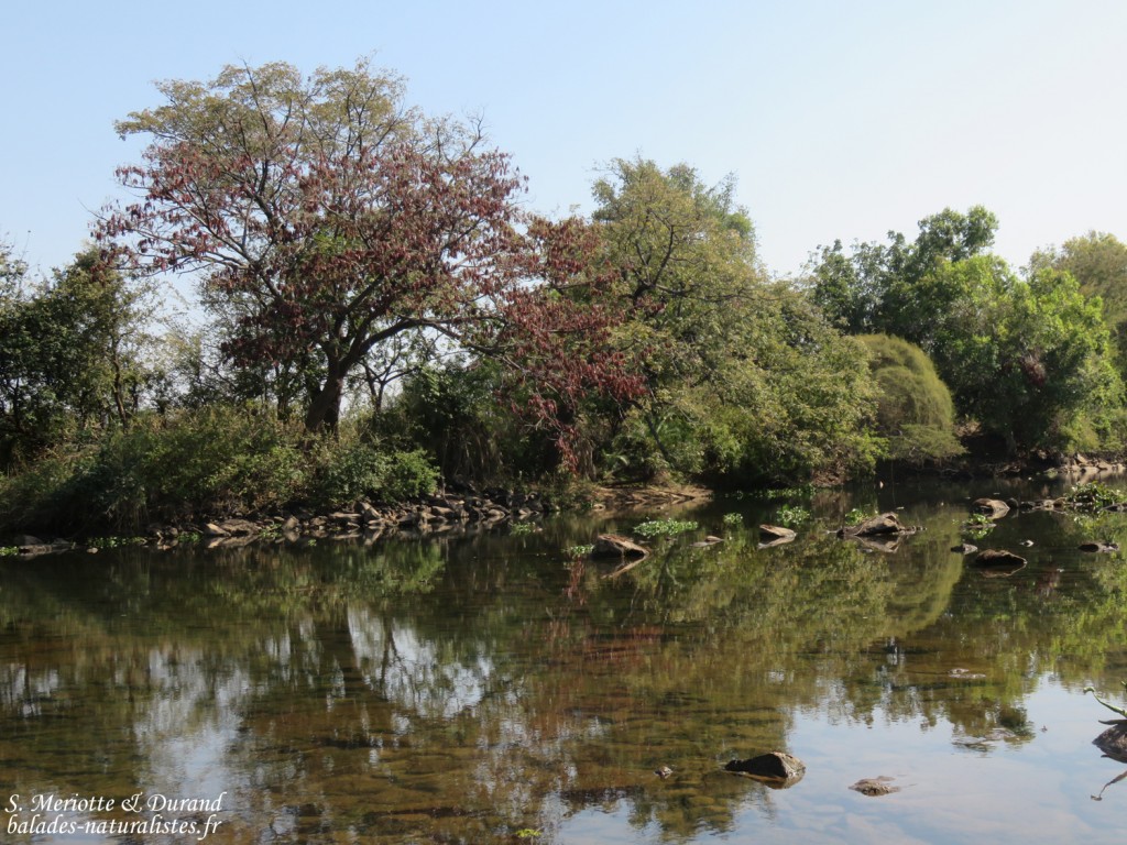 Chutes Victoria (Zambie)