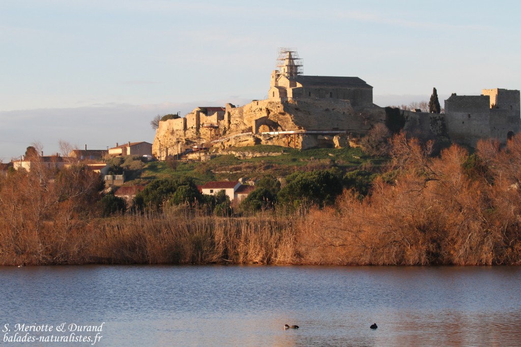 Étang de l'Estomac, Fos
