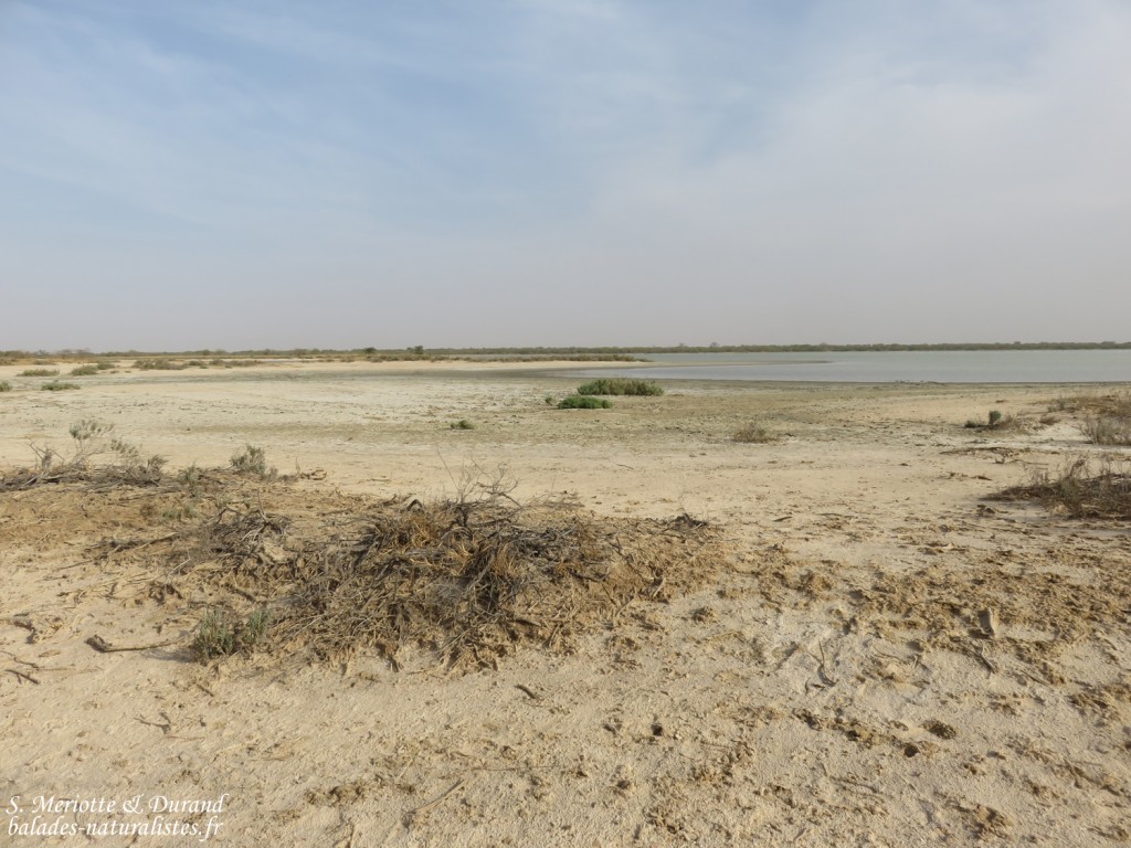 Réserve de Guembeul