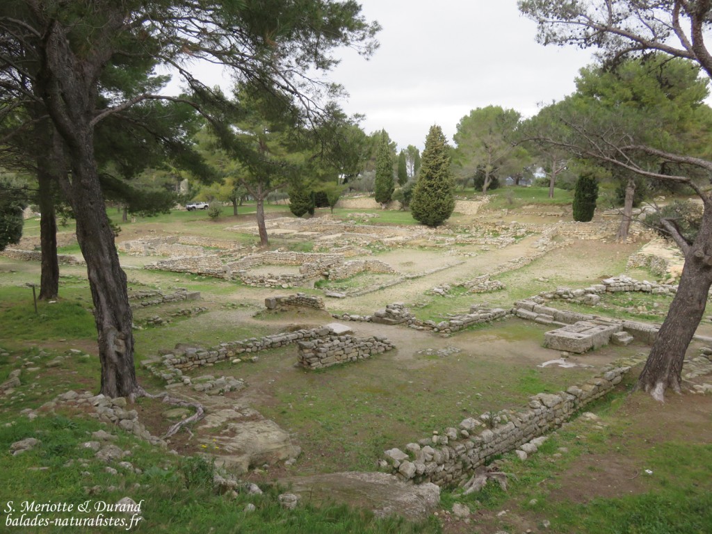 Site archéologique de Saint-Blaise