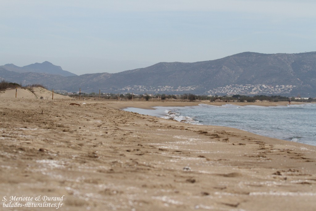 Plage près de Rosas