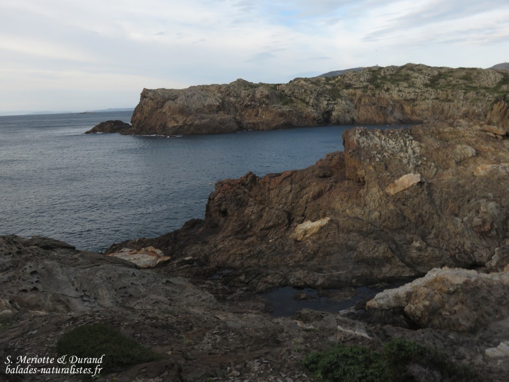 Cap de Creus