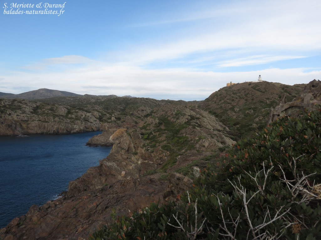 cap-creus (3)
