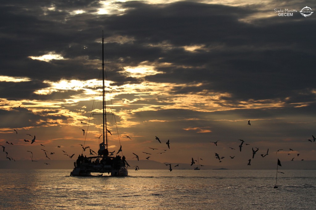 Au large de la Grande-Motte, 19 mars 2016