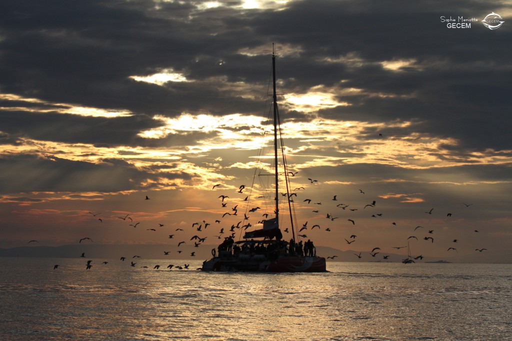 Au large de la Grande-Motte, 19 mars 2016