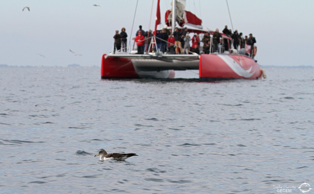 Au large de la Grande-Motte, 19 mars 2016