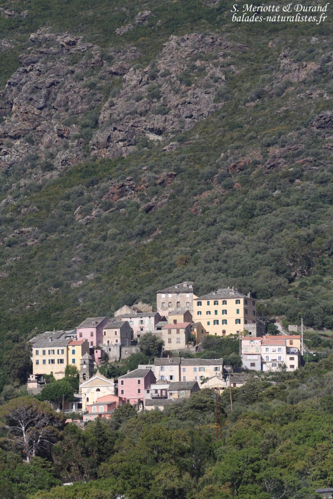 Village du Cap corse