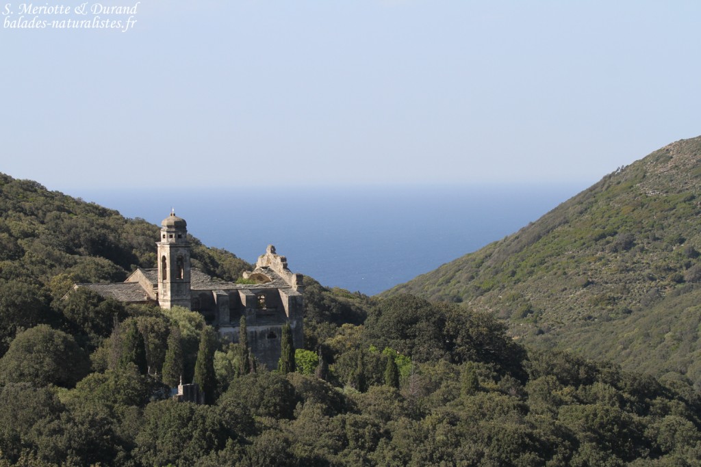 Paysages près de Barcaggio, Cap Corse