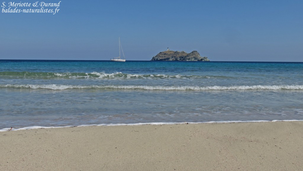 L'île de la Giraglia, Cap corse