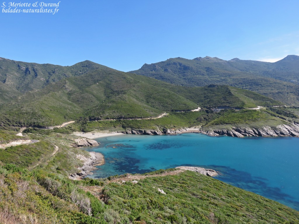 Cap corse