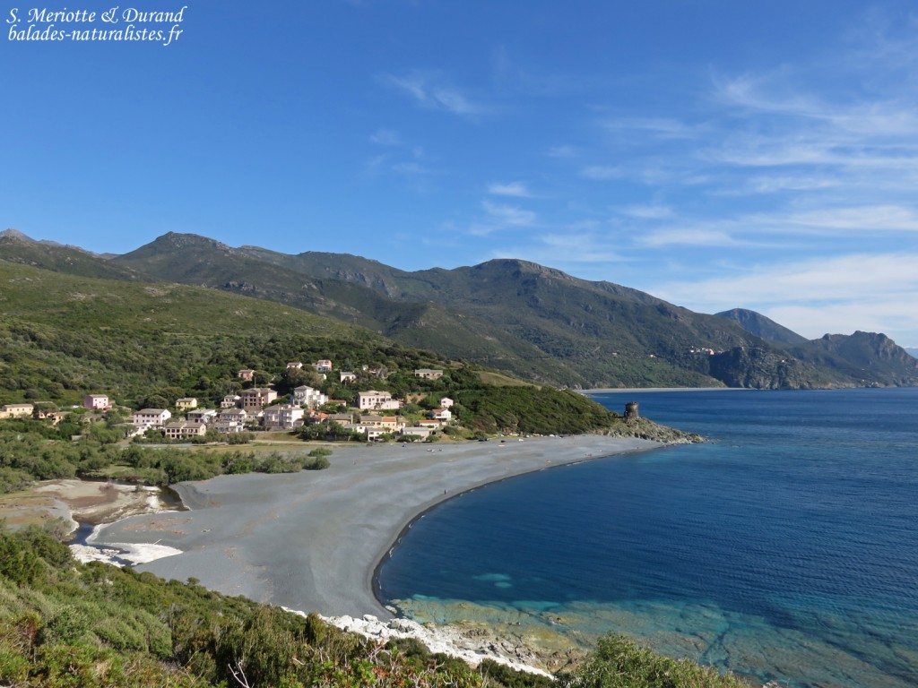 Plage d'Ogliastro, Cap corse