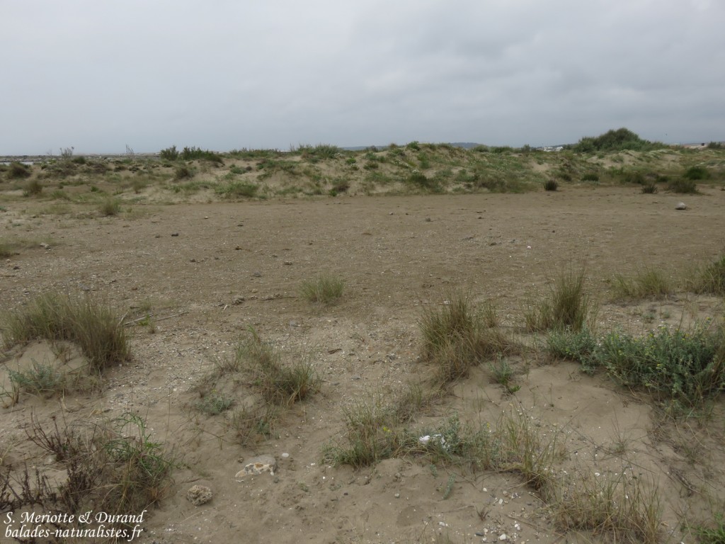 Lido de Mateille, Gruissan, Aude