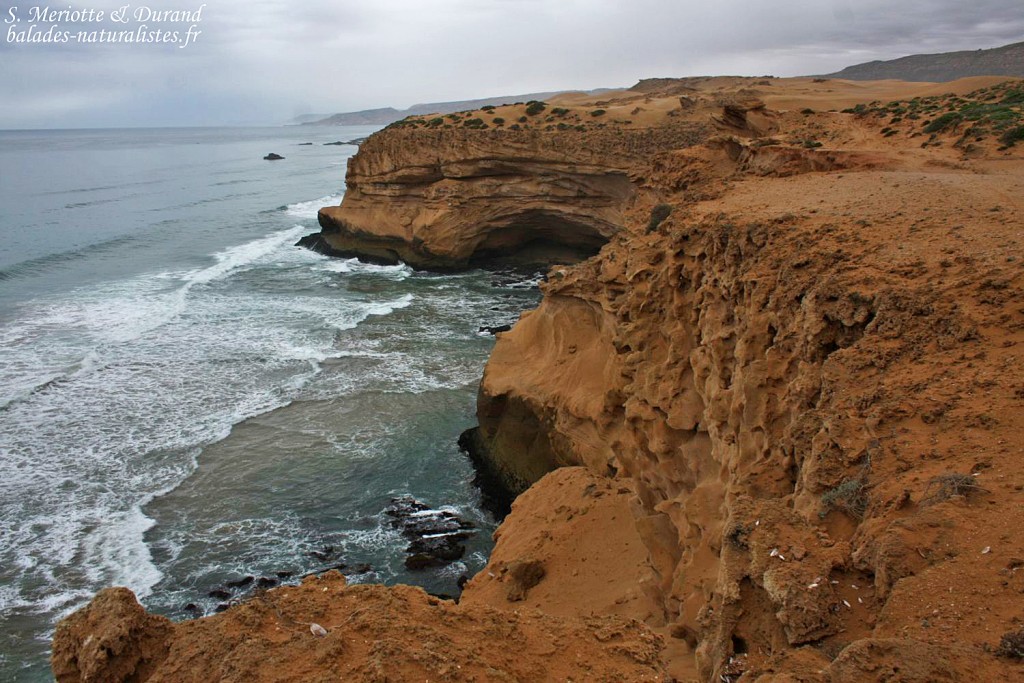 Falaises au Maroc