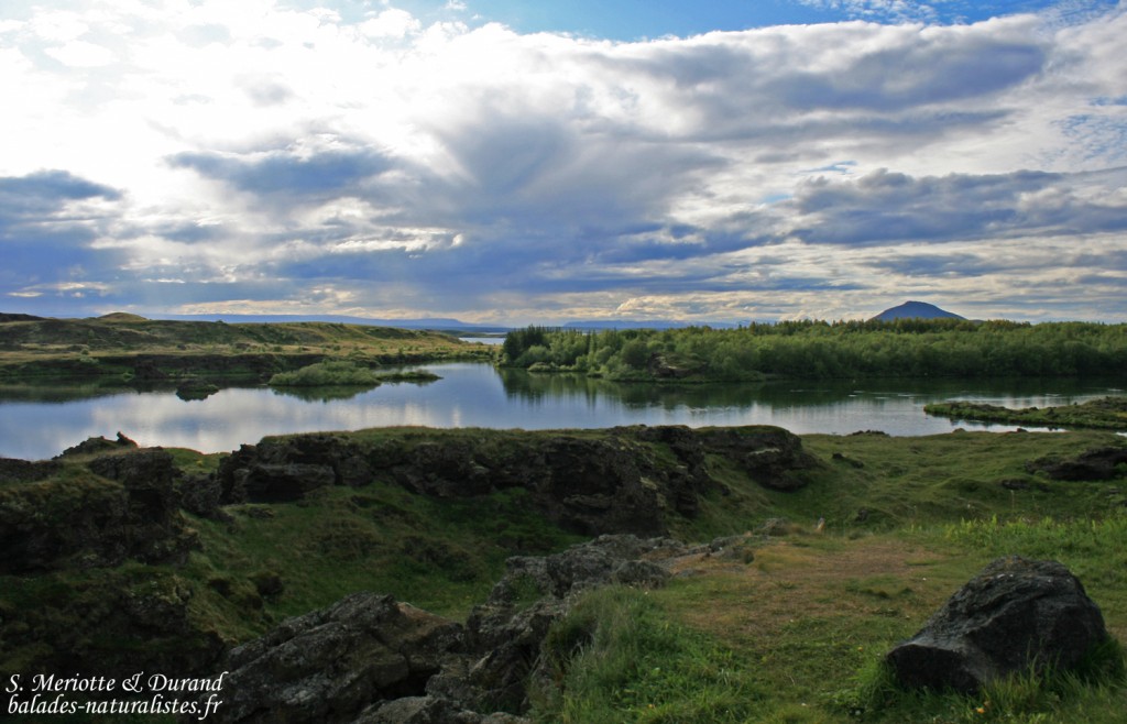 Lac Myvatn, Islande 2011