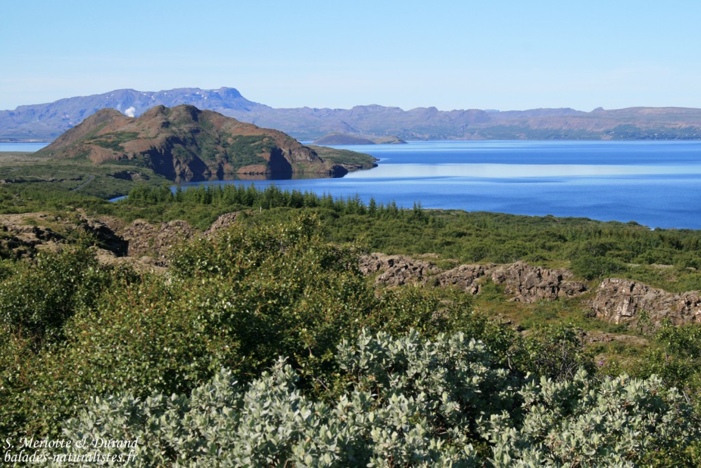 Le lac Thingvallatn