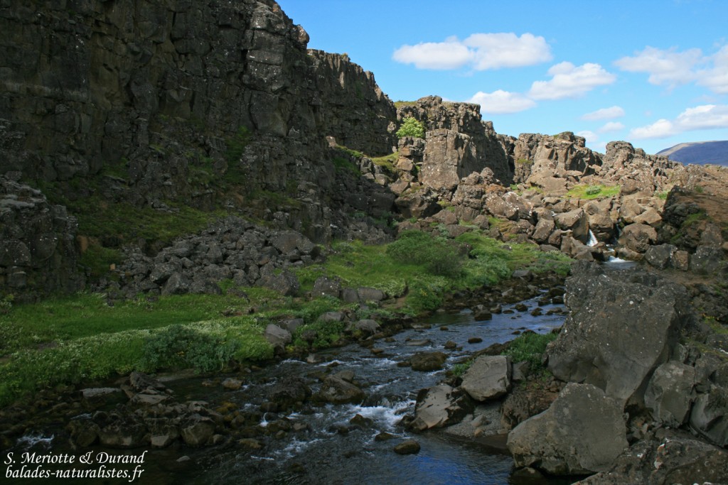 Pingvellir