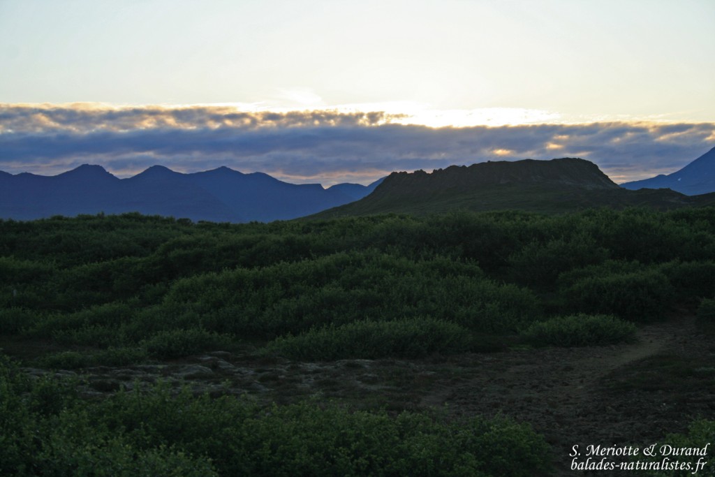 Le volacn d'Eldborg, entrée du voyage au centre de la terre