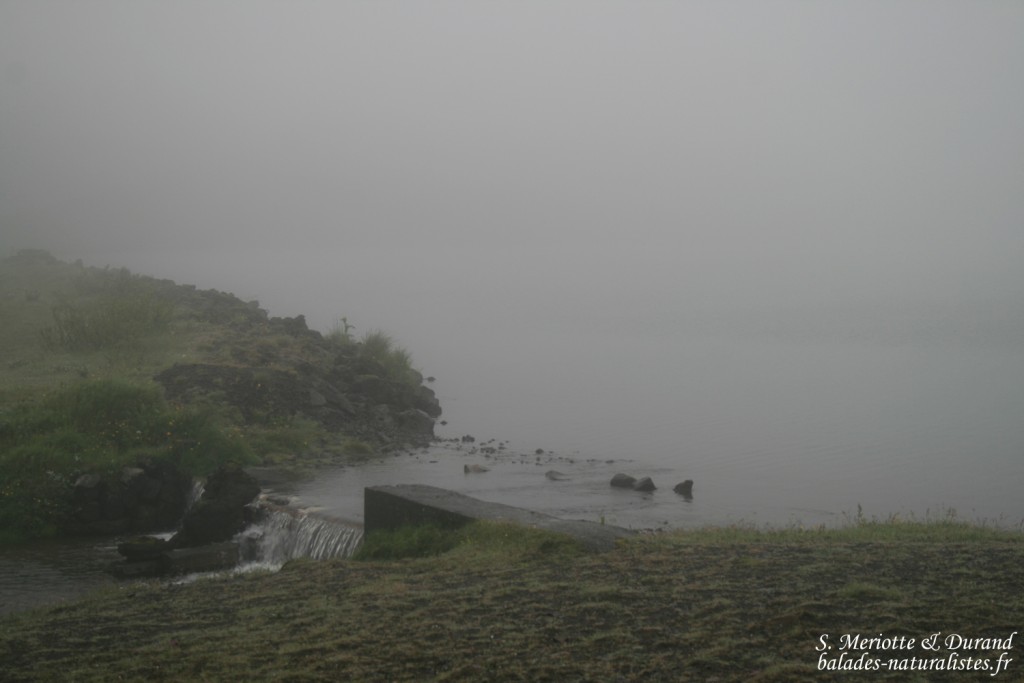 Kirkjubaejarklaustur, Islande 2011