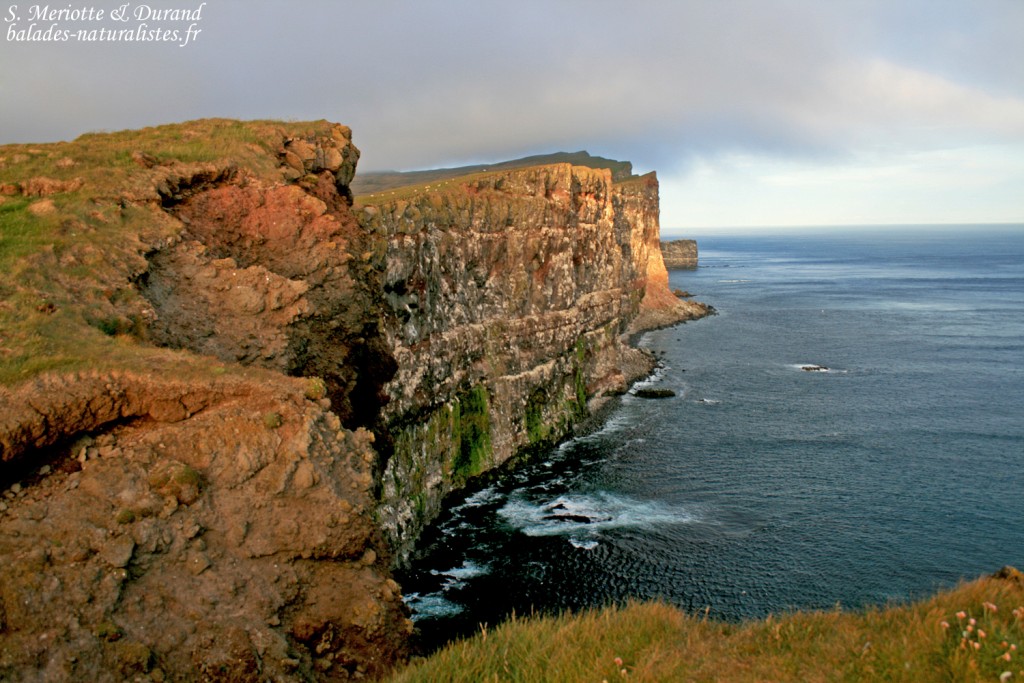 Falaises de Bjargtangar