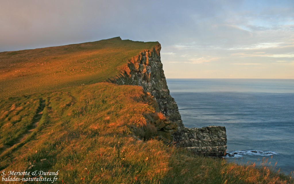 Falaises de Bjargtangar