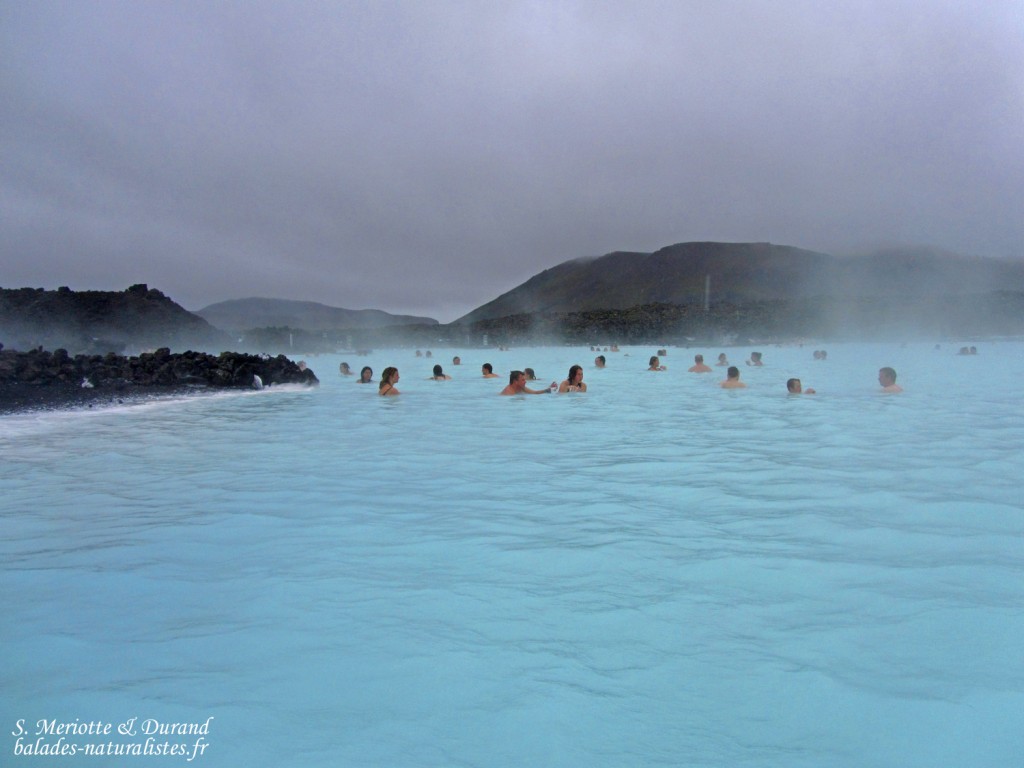 Blue lagoon, Islande 2011