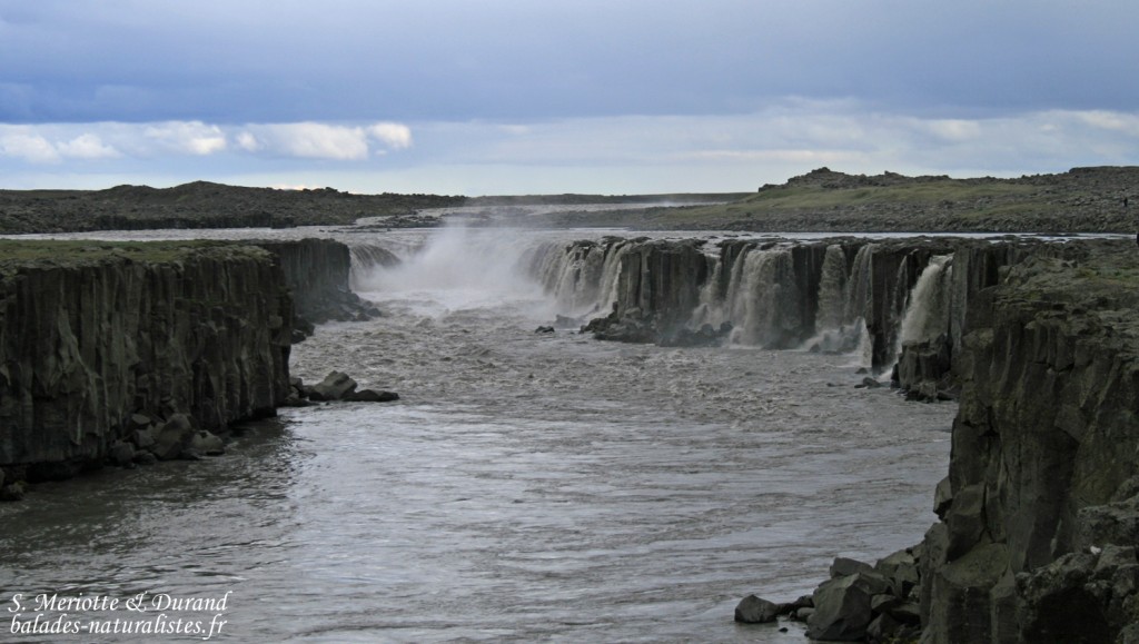 Dettifoss, Islande 2011
