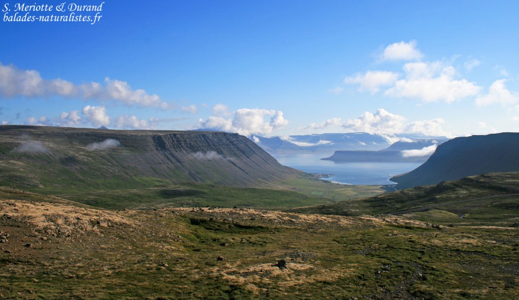 fjords du Nord-ouest, Islande 2011