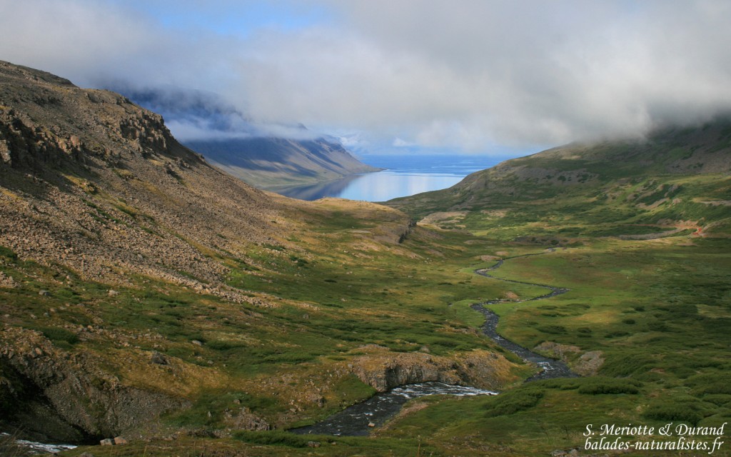 fjords du Nord-ouest, Islande 2011