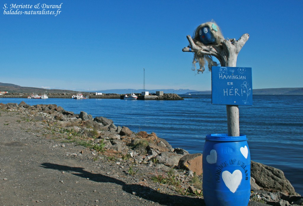 fjords du Nord-ouest, Islande 2011