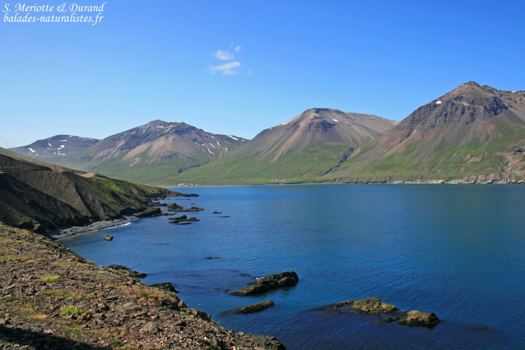 Tour du Geitfell, Islande 2011