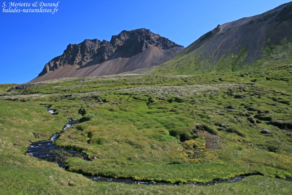 Tour du Geitfell, Islande 2011