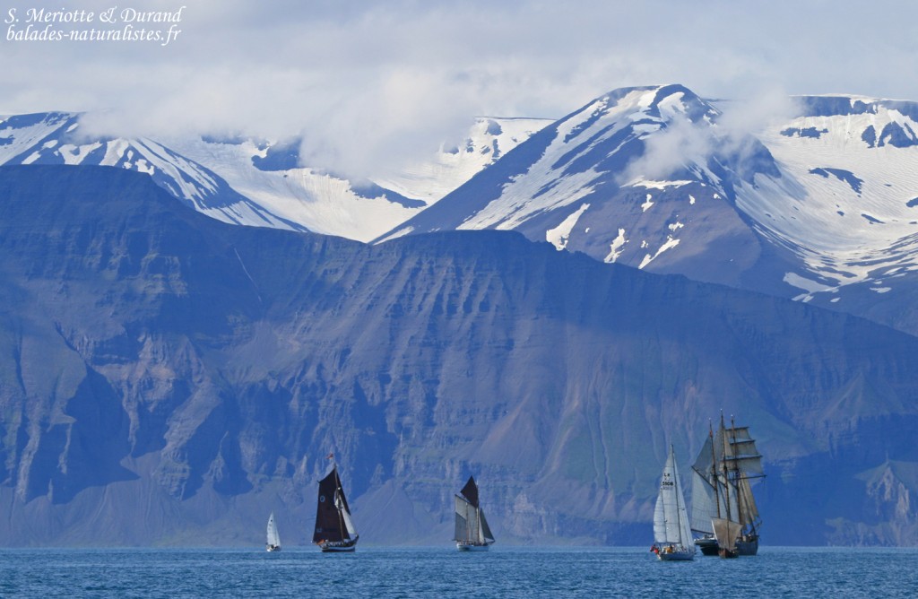 Baie d'Husavik, Islande 2011