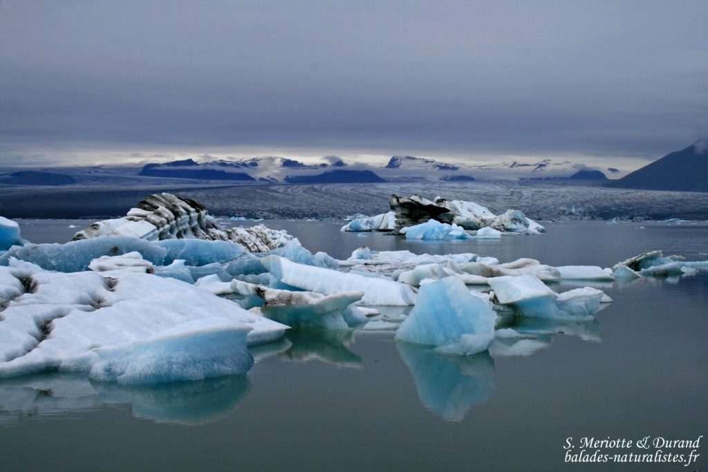 Jökulsarlon, Islande 2011