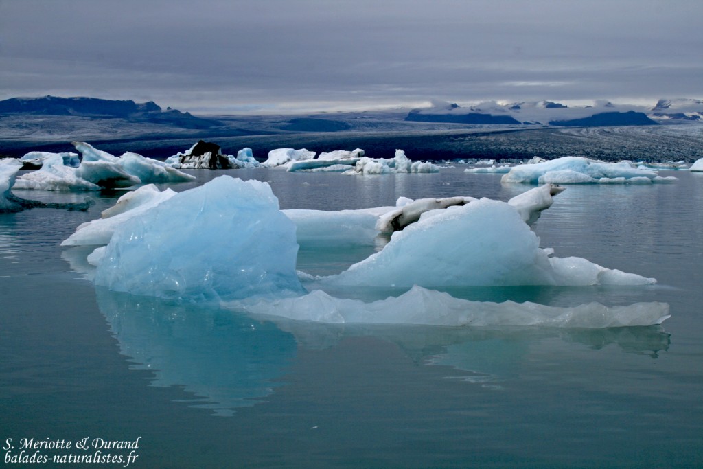 Jökulsarlon, Islande 2011