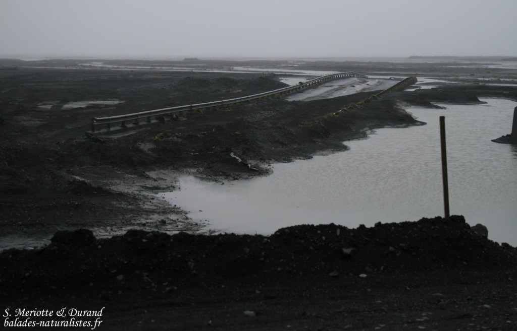 Route pour Vik, Islande 2011