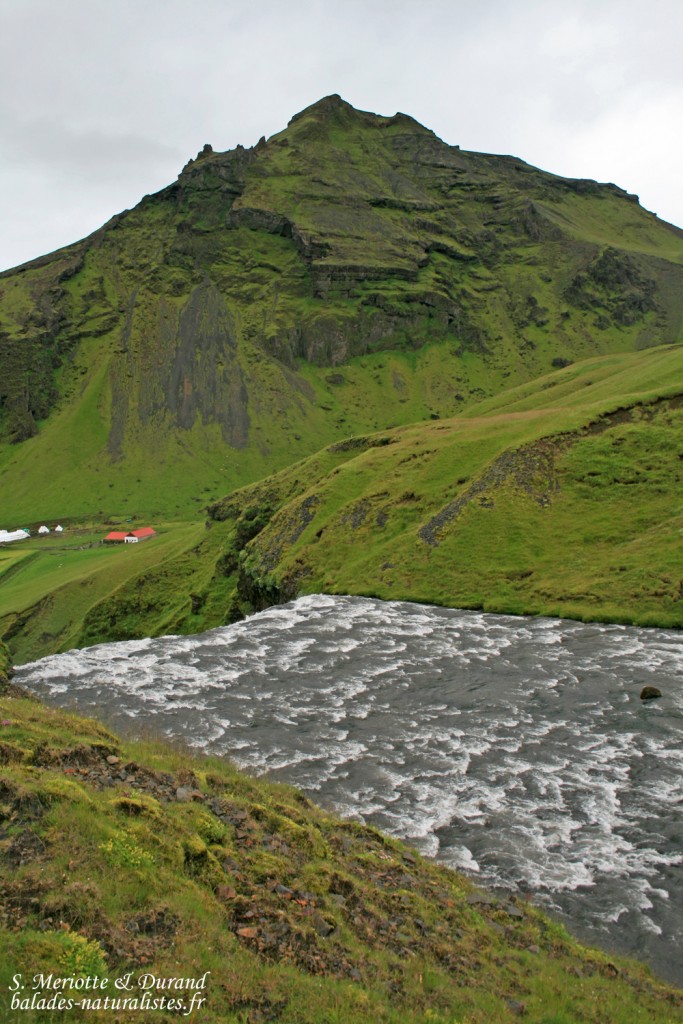 Skogar, Islande 2011