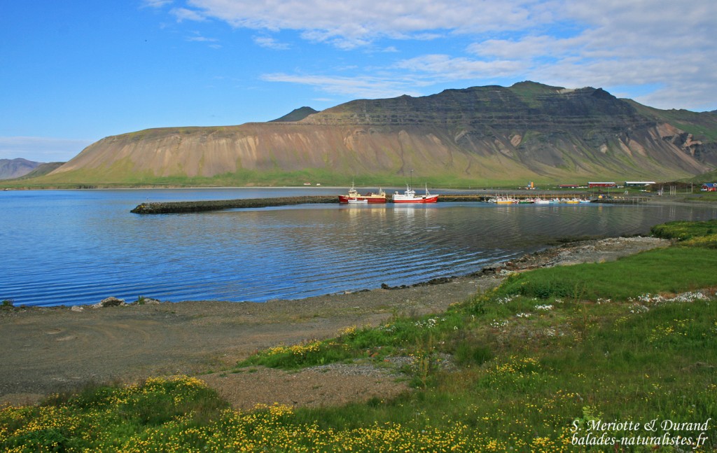 Péninsule de Snaefellsnes