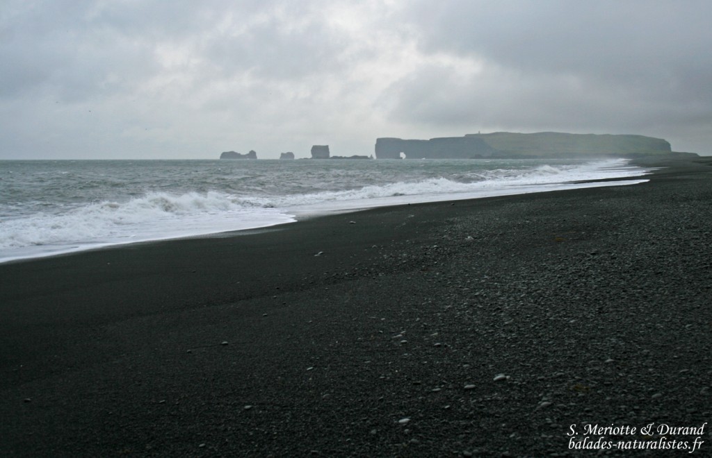 Vik, Islande 2011